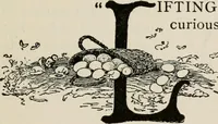 Picture 226 of 329 from Indoor and outdoor recreations for girls (1906), leaf 250
