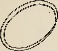 An illustration from Indoor and outdoor recreations for girls (1906)