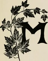 An illustration from Indoor and outdoor recreations for girls (1906)