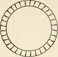 An illustration from Indoor and outdoor recreations for girls (1906)