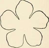 An illustration from Indoor and outdoor recreations for girls (1906)