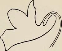 An illustration from Indoor and outdoor recreations for girls (1906)