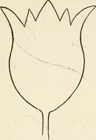 An illustration from Indoor and outdoor recreations for girls (1906)