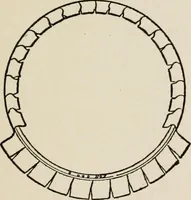 An illustration from Indoor and outdoor recreations for girls (1906)