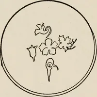 An illustration from Indoor and outdoor recreations for girls (1906)