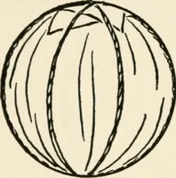 An illustration from Indoor and outdoor recreations for girls (1906)