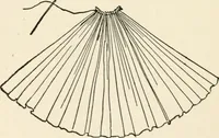 An illustration from Indoor and outdoor recreations for girls (1906)