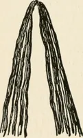 An illustration from Indoor and outdoor recreations for girls (1906)