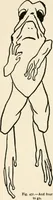 An illustration from Indoor and outdoor recreations for girls (1906)