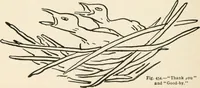 An illustration from Indoor and outdoor recreations for girls (1906)