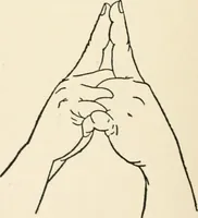 An illustration from Indoor and outdoor recreations for girls (1906)