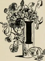 An illustration from Indoor and outdoor recreations for girls (1906)