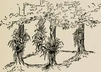 An illustration from Indoor and outdoor recreations for girls (1906)