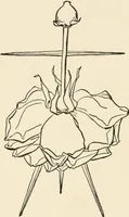 An illustration from Indoor and outdoor recreations for girls (1906)