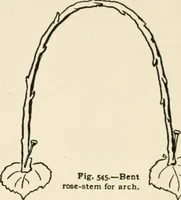 An illustration from Indoor and outdoor recreations for girls (1906)