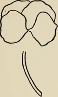 An illustration from Indoor and outdoor recreations for girls (1906)