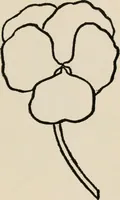 An illustration from Indoor and outdoor recreations for girls (1906)