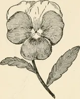 An illustration from Indoor and outdoor recreations for girls (1906)