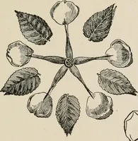 An illustration from Indoor and outdoor recreations for girls (1906)