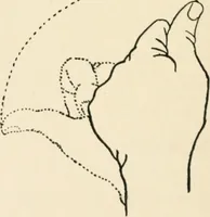 An illustration from Indoor and outdoor recreations for girls (1906)