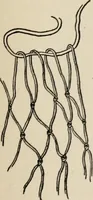 An illustration from Indoor and outdoor recreations for girls (1906)