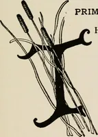 Picture 37 of 329 from Indoor and outdoor recreations for girls (1906), leaf 60