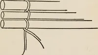 An illustration from Indoor and outdoor recreations for girls (1906)