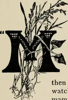 An illustration from Indoor and outdoor recreations for girls (1906)