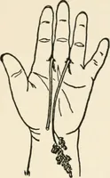 An illustration from Indoor and outdoor recreations for girls (1906)
