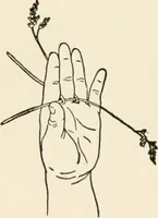An illustration from Indoor and outdoor recreations for girls (1906)