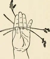 An illustration from Indoor and outdoor recreations for girls (1906)