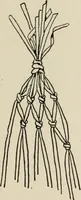 An illustration from Indoor and outdoor recreations for girls (1906)