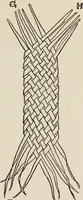 An illustration from Indoor and outdoor recreations for girls (1906)
