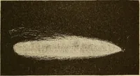 An illustration from Induction coils : how to make, use, and repair them including Ruhmkorff, Tesla, and medical coils, Roentgen radiography, wireless telegraphy, and practical information on primary and secondary battery (1901)