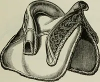 An illustration from The industrial arts in Spain (1890)