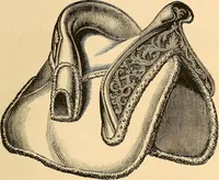 Picture 22 of 59 from The industrial arts in Spain (1879), leaf 120