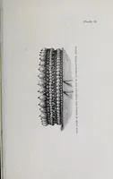 Picture 12 of 18 from The industrial arts of India (1880), leaf 363