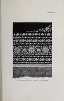 An illustration from The industrial arts of India (1880)