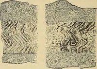 An illustration from The industrial arts of Scandinavia in the pagan time (1883)