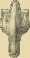 An illustration from The industrial arts of Scandinavia in the pagan time (1883)