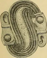 An illustration from The industrial arts of Scandinavia in the pagan time (1883)