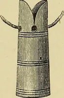 An illustration from The industrial arts of Scandinavia in the pagan time (1883)