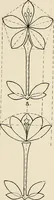 An illustration from Industrial drawing for girls : design principles applied to dress (1912)