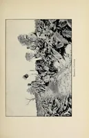 An illustration from The industrial history of the United States (1910)