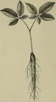 An illustration from The industries of Japan : together with an account of its agriculture, forestry, arts, and commerce. From travels and researches undertaken at the cost of the Prussian government (1889)