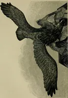 An illustration from The industries of Japan : together with an account of its agriculture, forestry, arts, and commerce. From travels and researches undertaken at the cost of the Prussian government (1889)