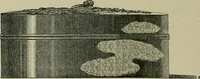 An illustration from The industries of Japan : together with an account of its agriculture, forestry, arts, and commerce. From travels and researches undertaken at the cost of the Prussian government (1889)