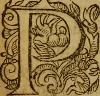 An illustration from In epistolam S. Pauli apostoli ad Romanos, Roberti Rolloci ..., commentarius .. (1595)