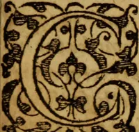 An illustration from In epistolam S. Pauli apostoli ad Romanos, Roberti Rolloci ..., commentarius .. (1595)