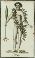 Picture 19 of 23 from In espettazione delle Loro Altezze Reali Ferdinando III, principe reale d'Ungheria e di Boemia, arciduca d'Austria, gran duca di Toscana, e Luisa Maria di Borbone real principessa di Napoli sua consorte : feste pubbliche destinate dalla città di Siena in contrassegno della sua gioja e devozione (1791), leaf 58